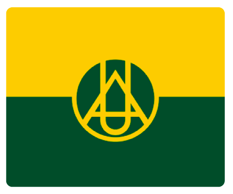 Bandera oficial de la Universidad de América con los colores verde y amarillo institucionales.