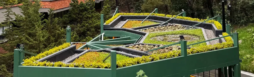 Vista del campus con techo verde sostenible en los posgrados de la Universidad de América