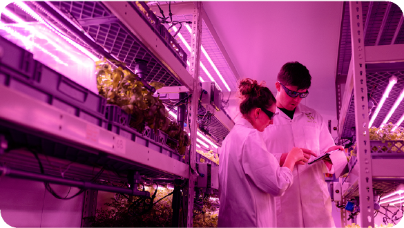 agricultura vertical investigaciones Universidad de América