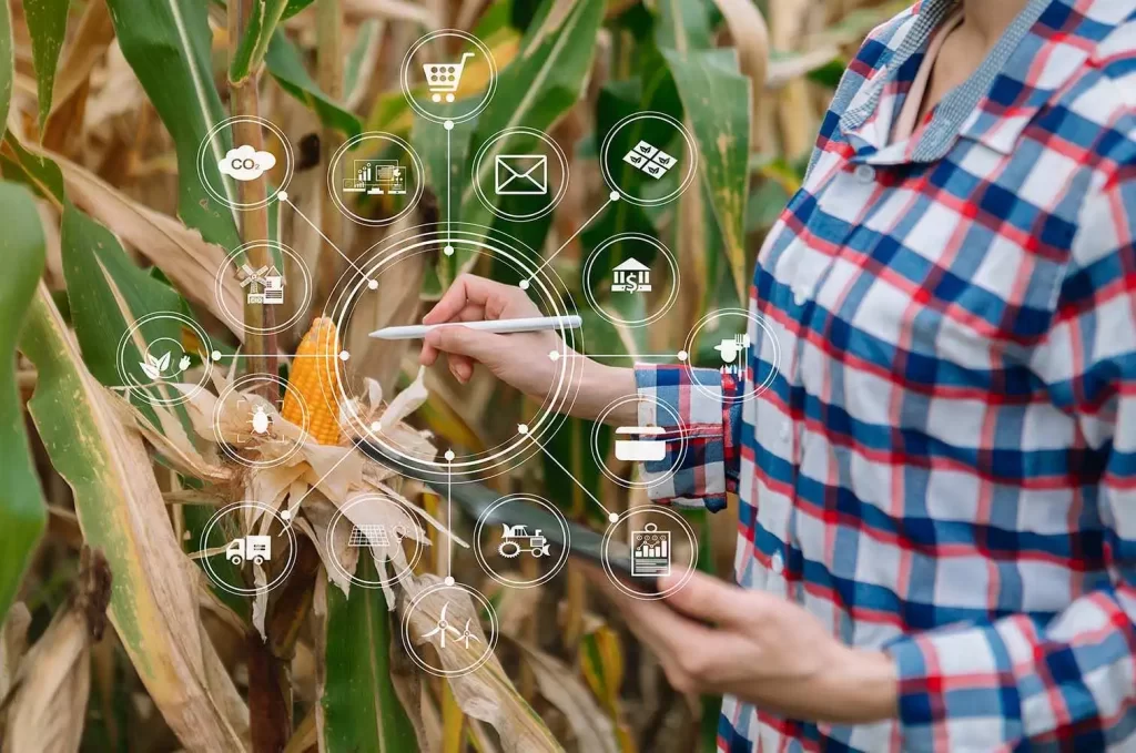 Tecnología y optimización de procesos agroalimentarios aplicada al análisis y mejora de cultivos