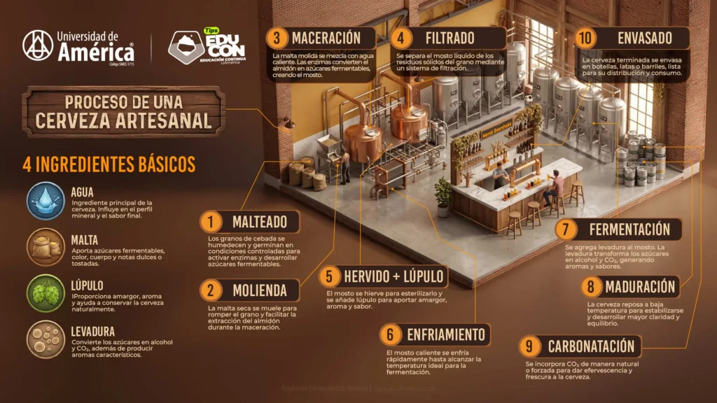 Infografía sobre la elaboración de cerveza artesanal y sus principales etapas, desde la preparación del mosto hasta la fermentación y maduración final.