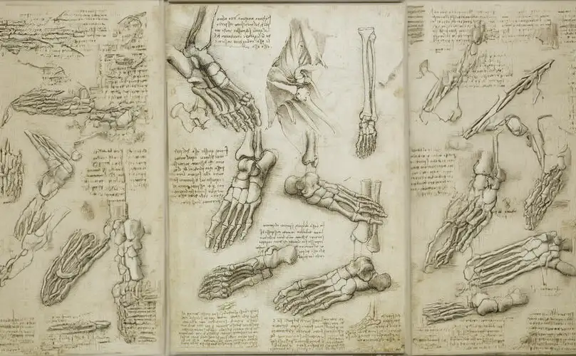 Concurso de dibujo de la Semana SACI de la Universidad de América, inspirado en el dibujo como mecanismo de pensamiento y en los procesos creativos de Leonardo da Vinci.